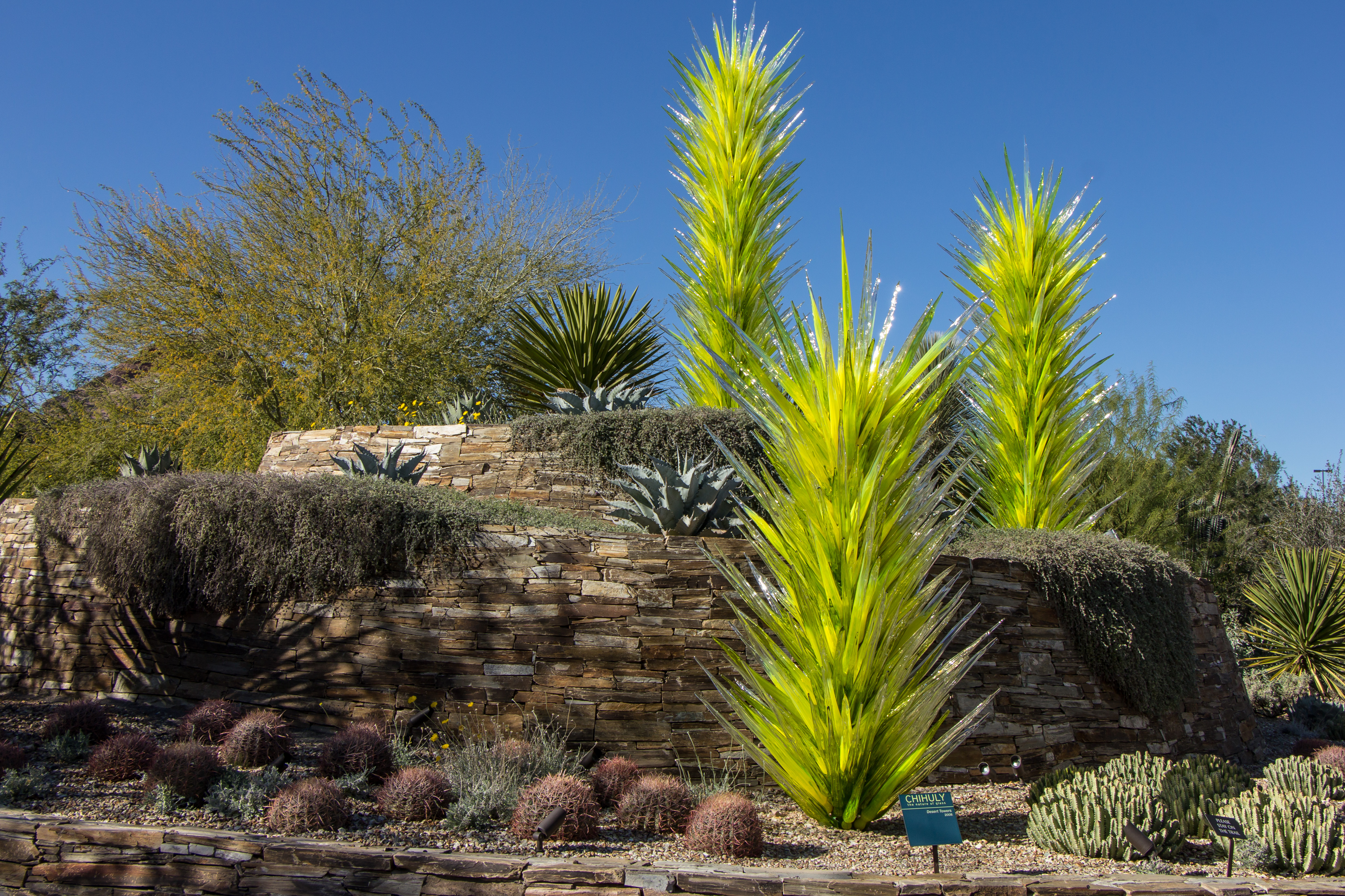 Chihuly At The Phoenix Desert Botanical Gardens Wide Angle Adventure